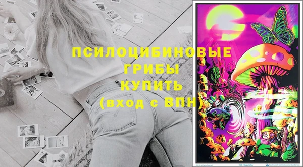 метадон Богородицк