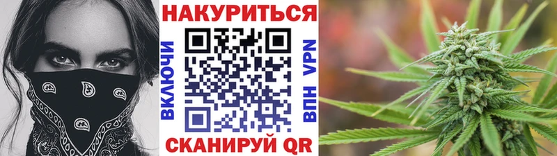 Бошки марихуана планчик  купить закладку  Шилка 